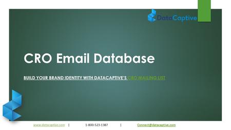 BUILD YOUR BRAND IDENTITY WITH DATACAPTIVE’S CRO MAILING LIST