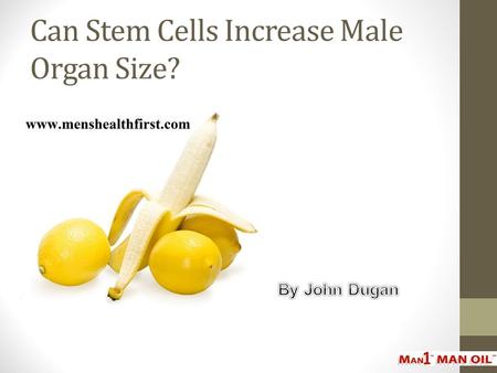 Can Stem Cells Increase Male Organ Size?