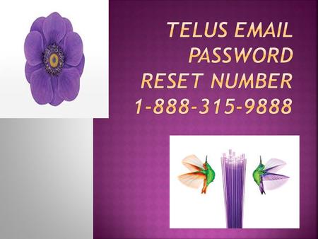  Telus is a Canadian cooperation  Telus is a telecommunication company  Telus provide products and services like internet access, voice etc.