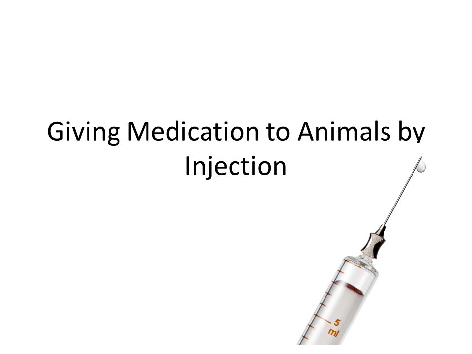 Giving Medication to Animals by Injection. Introduction For many medicines  and vaccines, injection is the best method of administration to an animal.  - ppt download