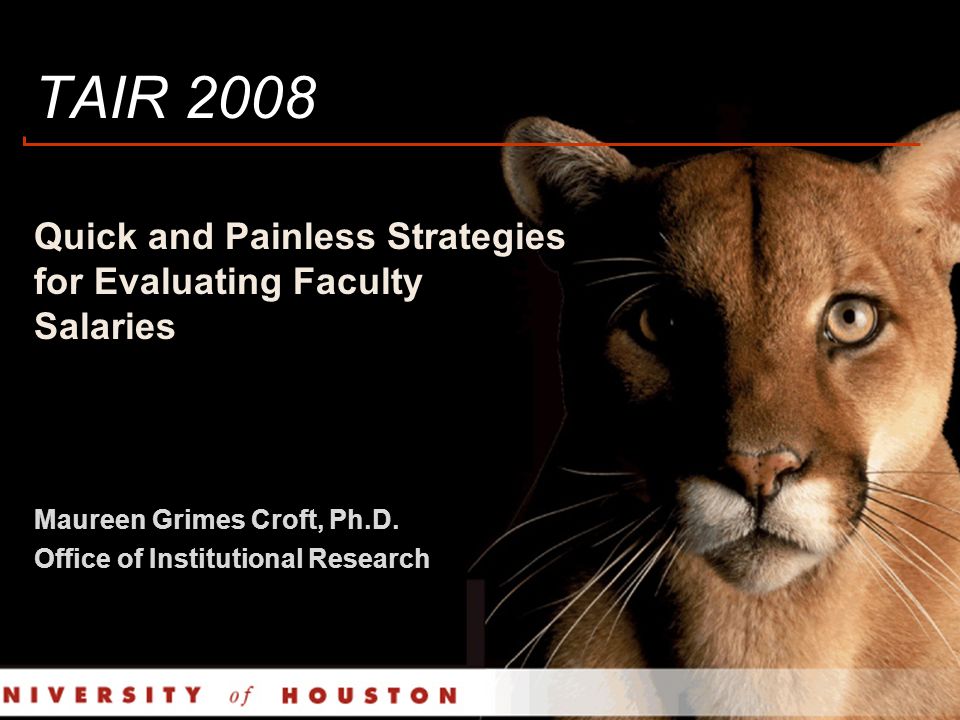 Tanzania Huisje assistent TAIR 2008 Quick and Painless Strategies for Evaluating Faculty Salaries  Maureen Grimes Croft, Ph.D. Office of Institutional Research. - ppt download