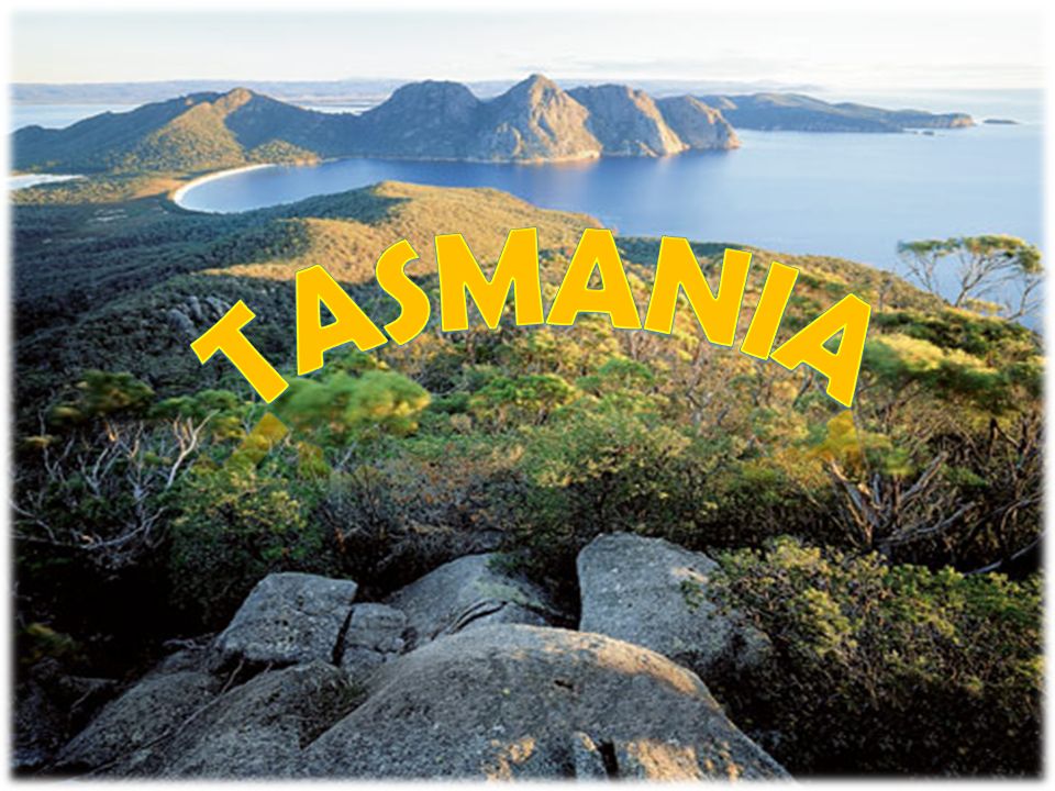 Macquarie Island - Wikipedia