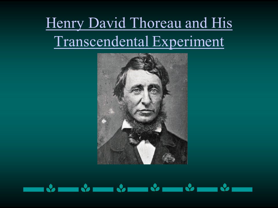 Реферат: Comparison Between Henery David Threau And Herman