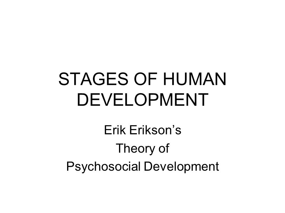main stages of human development