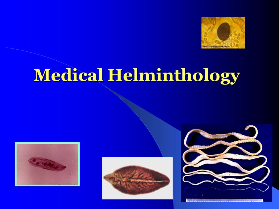 Mnemonia helmintologică - Patologia intestinală parazitară - Eurolab