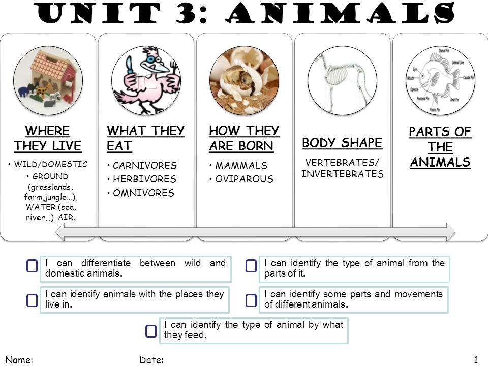 Top 123 + Animals where they live - Lestwinsonline.com