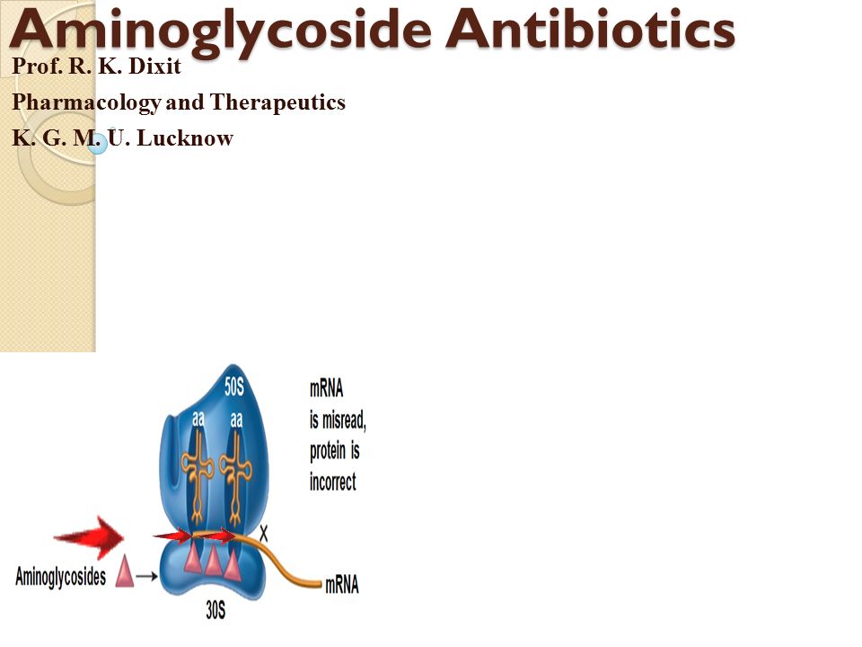 Aminoglycoside Antibiotics - ppt video online download
