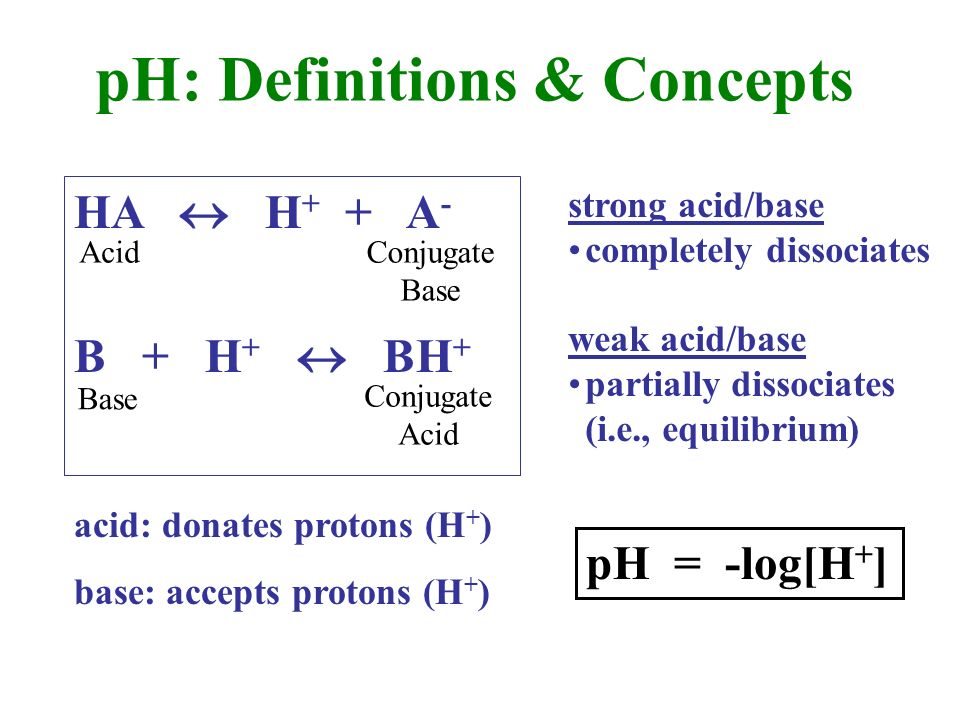 HA H + + A - B + H + BH + Acid Base Conjugate Base Conjugate Acid acid:  donates protons (H + ) base: accepts protons (H + ) strong acid/base  completely. - ppt download