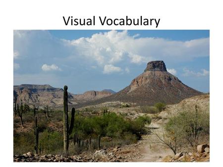 Visual Vocabulary.