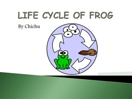 LIFE CYCLE OF FROG By Chichu.