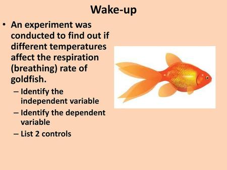 Wake-up An experiment was conducted to find out if different temperatures affect the respiration (breathing) rate of goldfish. Identify the independent.
