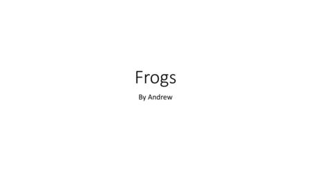 Frogs By Andrew.