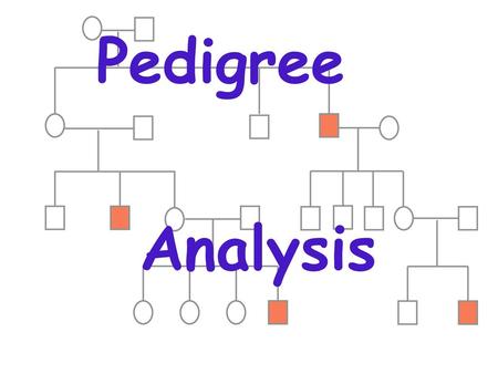 Pedigree Analysis.