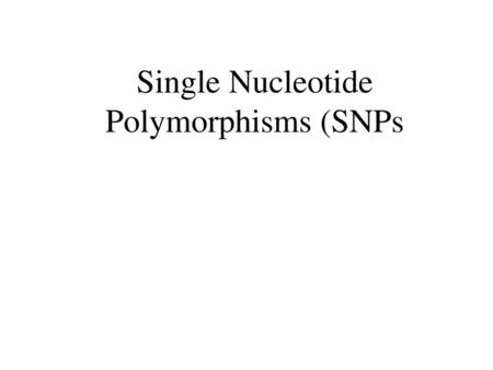 Single Nucleotide Polymorphisms (SNPs