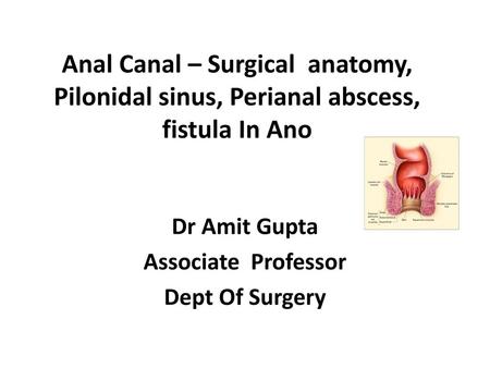 Dr Amit Gupta Associate Professor Dept Of Surgery
