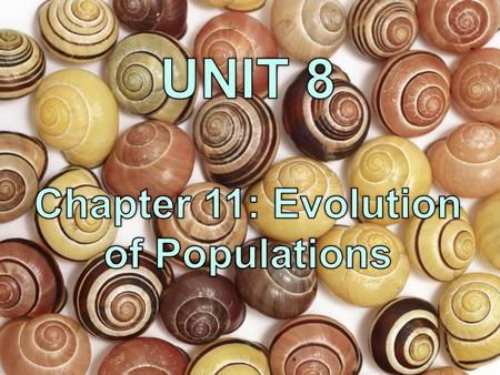 Chapter 11: Evolution of Populations