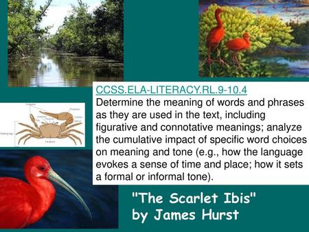The Scarlet Ibis by James Hurst CCSS.ELA-LITERACY.RL