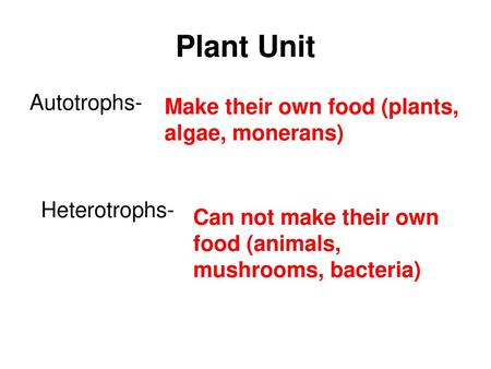 Plant Unit Autotrophs- Make their own food (plants, algae, monerans)