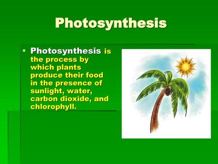 Photosynthesis Photosynthesis is the process by which plants produce their food in the presence of sunlight, water, carbon dioxide, and chlorophyll.