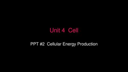 PPT #2 Cellular Energy Production