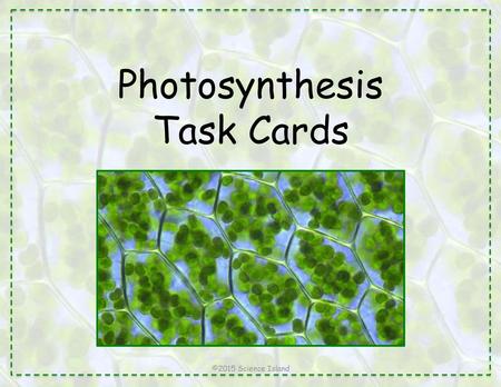 Define photosynthesis.