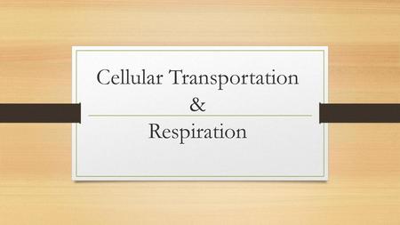 Cellular Transportation & Respiration