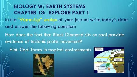 Biology w/ earth systems Chapter 13: Explore Part 1