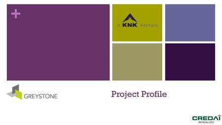 Project Profile.