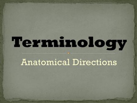 Anatomical Directions