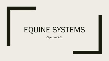 Equine systems Objective 3.01.