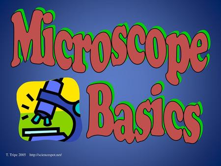 Microscope Basics T. Tripe 2005 http://sciencespot.net/