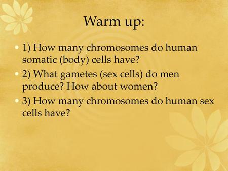 Warm up: 1) How many chromosomes do human somatic (body) cells have?