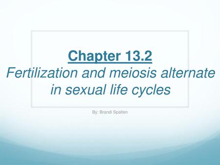 Chapter 13.2 Fertilization and meiosis alternate in sexual life cycles