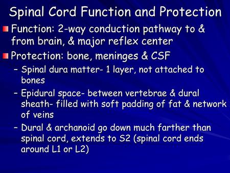 Spinal Cord Function and Protection