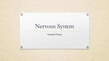 Nervous System Amanda Dunne.
