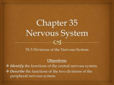 Chapter 35 Nervous System