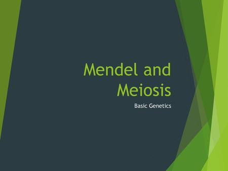 Mendel and Meiosis Basic Genetics.
