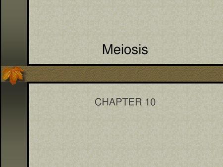 Meiosis CHAPTER 10.