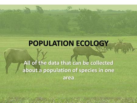 POPULATION ECOLOGY All of the data that can be collected about a population of species in one area.