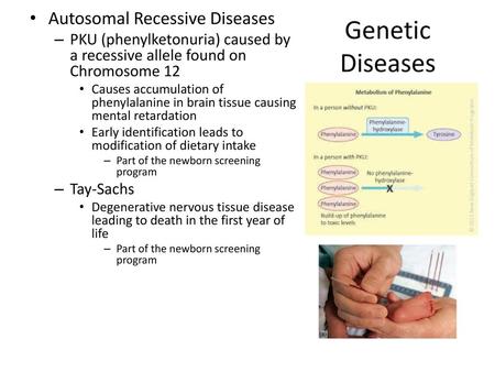 Genetic Diseases Autosomal Recessive Diseases
