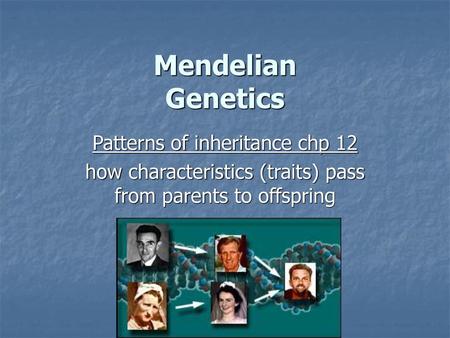 Mendelian Genetics Patterns of inheritance chp 12