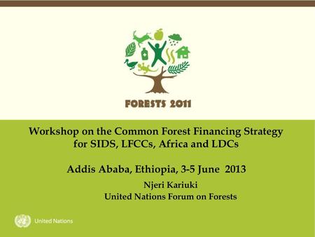 Njeri Kariuki United Nations Forum on Forests