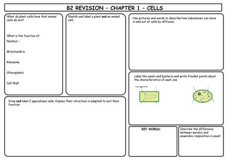 B2 REVISION – CHAPTER 1 – CELLS