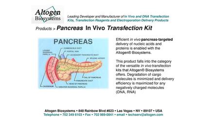 Products > Pancreas In Vivo Transfection Kit