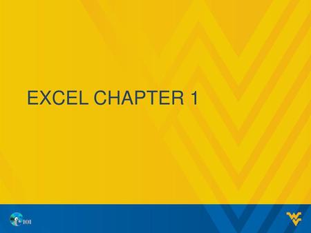 Excel Chapter 1.