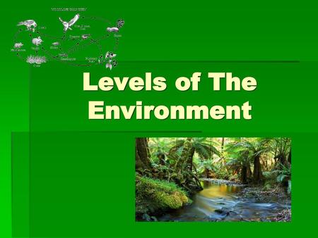Levels of The Environment