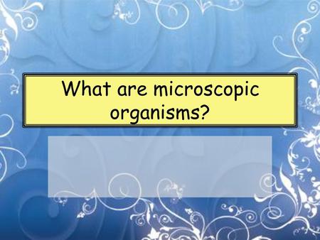 What are microscopic organisms?