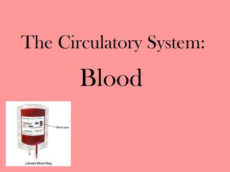 The Circulatory System: