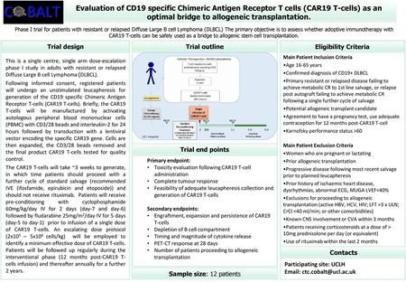 Evaluation of CD19 specific Chimeric Antigen Receptor T cells (CAR19 T-cells) as an optimal bridge to allogeneic transplantation. Phase I trial for patients.