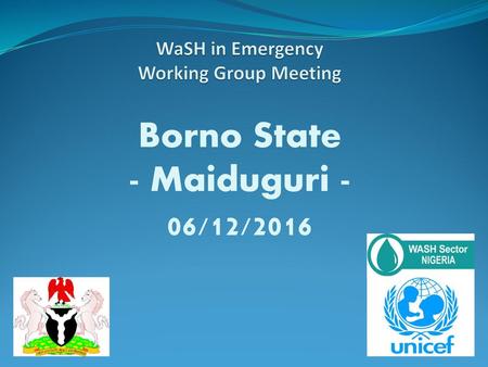 WaSH in Emergency Working Group Meeting